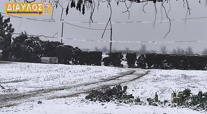 (VIDEO) Χιονίζει απο τα ξημερώματα μέχρι και τη θάλασσα στο Δήμο Ιστιαίας Αιδηψού