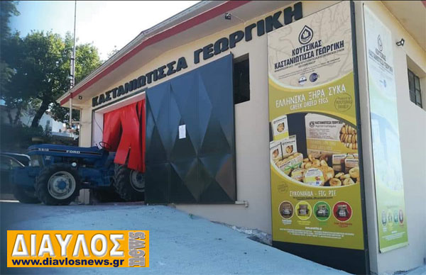 «Καστανιώτισσα Γεωργική» - Μια σμυρναίικη ποικιλία σύκου που ρίζωσε στην Εύβοια