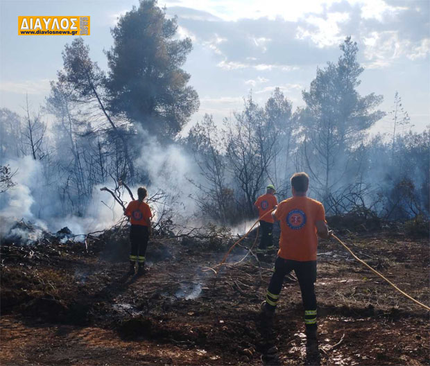 (VIDEO) Το Σωματείο Εθελοντών Διασωστών Δασοπυροσβεστών Βορειοκεντρικής Εύβοιας στο πλευρό των συμπολιτών μας. 
