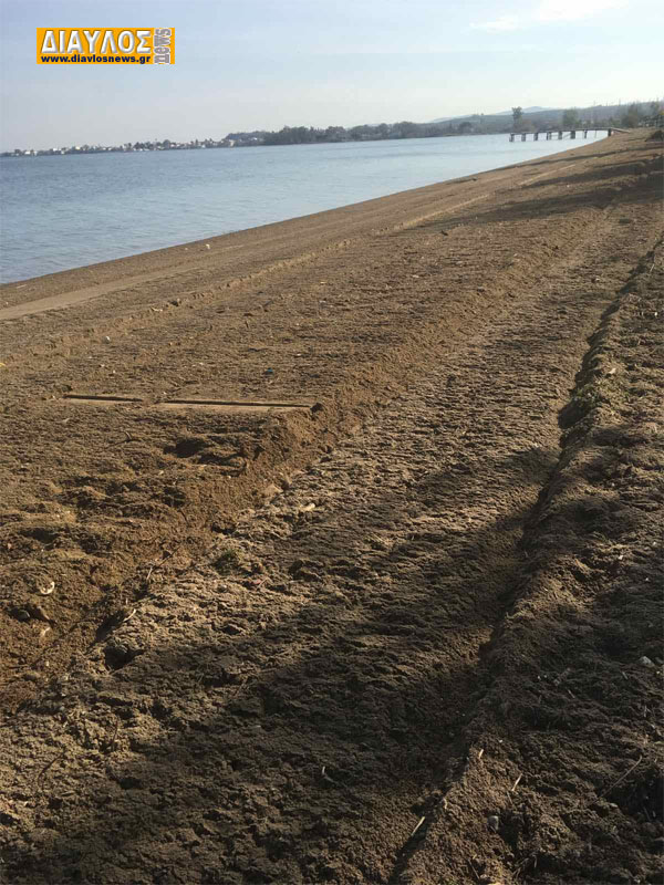 Καθάρισαν εθελοντικά την παραλία Νέου Πύργου