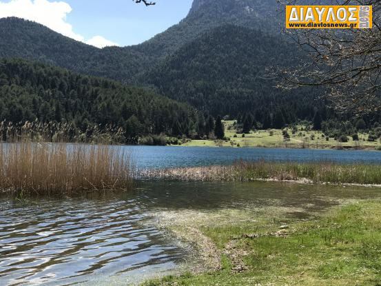 Απαγόρευση διέλευσης, παραμονής και κυκλοφορίας προσώπων και οχημάτων σε περιοχές ΝATURA καθώς και σε δασικά οικοσυστήματα, πάρκα και άλση