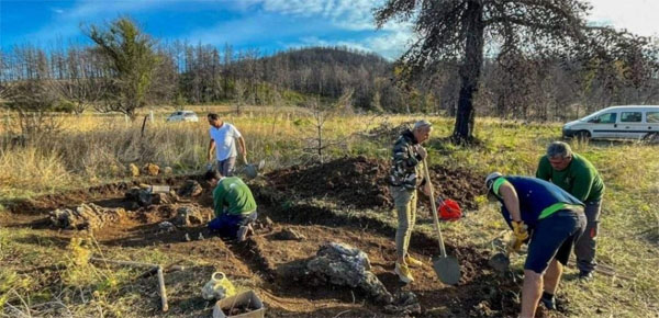 Αποκαλύφθηκε το απολιθωμένο δάσος της Κερασιάς στη βόρεια Εύβοια 
