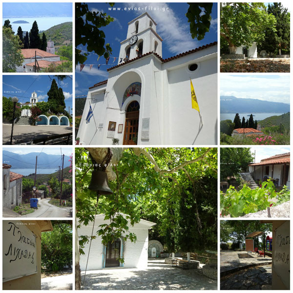 Συνελήφθησαν 4 άτομα στην Εύβοια, για κλοπές σε Ιερούς Ναούς